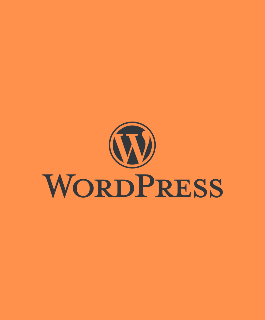 Wordpress Anleitung